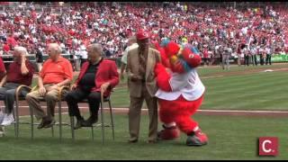 Gapper, the mascot and the man inside