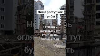 Дома растут,как грибы #лараизмахмутлара #turkey#Алания #турецкаясемья#стройкиалании#махмутлар#ВНЖ