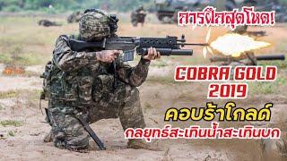 ยกพลขึ้นบก Cobra Gold 2019 - บรรยากาศการฝึกสุดโหด สะเทินน้ำสะเทินบก ของนาวิกโยธิน 3 ประเทศ