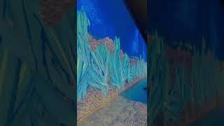 Van Gogh 360 experience