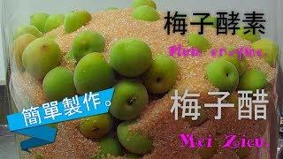 ((4分鐘學會製作))梅子酵素 & 梅子醋.Make plum vinegar.Making plum enzymes.