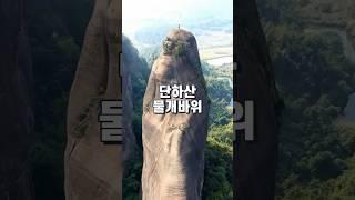 물개를 닮은 신비한 광동성의 유명 바위