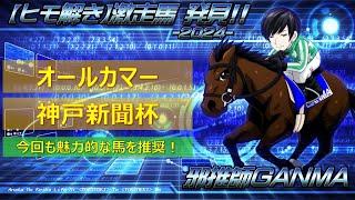 ＜オールカマー＆神戸新聞杯＞【ヒモ解き】激走馬 発見！2024