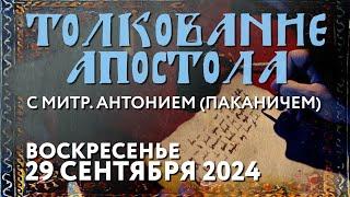 Воскресенье, 29 сентября 2024 года. Толкование Апостола с митр. Антонием (Паканичем).