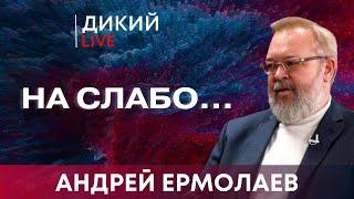 Набивая шишки. Андрей Ермолаев. Дикий LIVE.