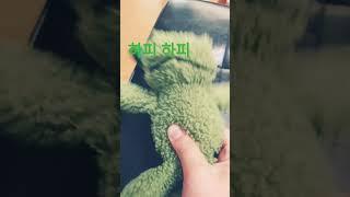 하피 하피 하피 하피 하피 하피 하피 하피