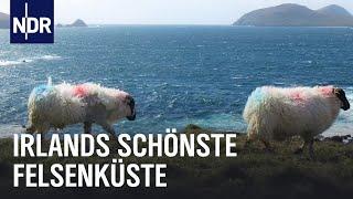 Magisches Dingle – Irlands Halbinsel am Ende der Welt | Nordseereport Spezial | NDR Doku