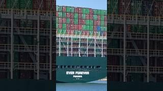 EVERGREEN Container Ship