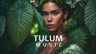 Latin Chill and Lounge in Tulum | Cafe De Tulum 2024