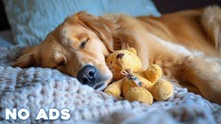 12 Hours Anti Anxiety Music for Dogs  Stress Relief Music For Dogs  Calming Music For Dogs