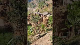 #villagelife #village #villagevlog #villagelifestyle #nepal