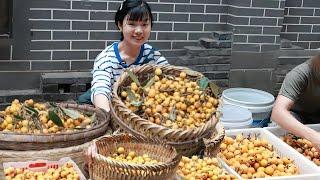 800 catties of loquat sells 1 catty in 1 yuan. It is not easy to sell loquat with good quality and