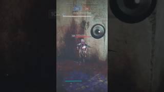 Nothing But Net               #destiny2pvp