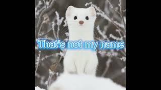 MY NAME is ERMINE