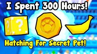 I Spent 300 Hours Hatching For Secret Pet! - Pet Simulator 99 Roblox