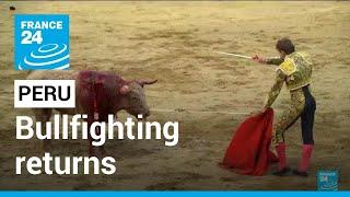 Bullfighting returns to historic Peru arena • FRANCE 24 English