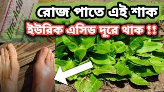ইউরিক এসিড কমবেই যদি রোজ খান এই শাক । This green leaf will reduce uric acid