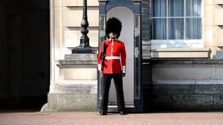 Guard at Buckingham Palace