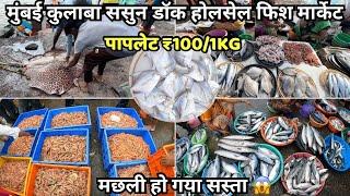 Sassoon Dock Fish Market Mumbai | Sassoon Dock Fish Market Latest Video | Colaba Fish Market Mumbai