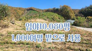 괴산임야매매/ 2차선도로에서 200여미터 들어간 위치 남향의 임야 1000여평 밭으로 사용중.