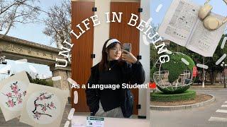 Day in my life as a Language Student in China  | BLCU 北京语言大学￼