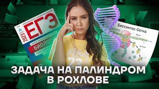 Рохлов: задание 28 на палиндром | Биология ЕГЭ 2023 | Умскул