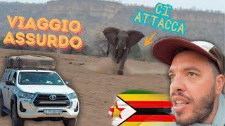 Viaggio ASSURDO in Zimbabwe  ELEFANTE ci attacca