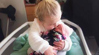 Adorable Baby Siblings Meeting Their Newborn - Cute Baby Videos