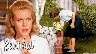 Larry Thinks Samantha Is Pregnant | Bewitched