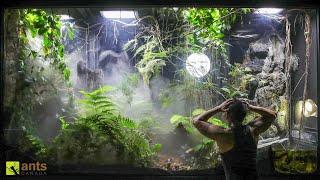 My Cloud Rainforest Vivarium: 1 YR Later