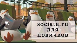 Sociate для новичков