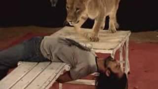 LOTE LION PROMO.wmv