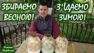 PRESERVATION OF CHICKEN EGGS FOR THE WINTER! EASY and SIMPLE!