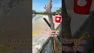 Bơm nước năng lượng Mặt Trời 2.2kw chạy không cần điện lưới. #thanhtungsolar #solarpump