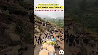 開著軌道車餵雞省時又省力！90後小夥把養雞場秒變「科技樂園」，以前餵雞要幾個小時，現在只需十幾分鐘~#shorts #china #DynamicChina