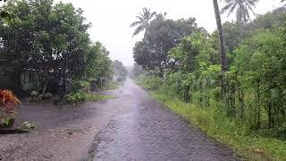 [4K Rain Walking] Rainy Forest Trail | Immerse Yourself in Nature’s Calm