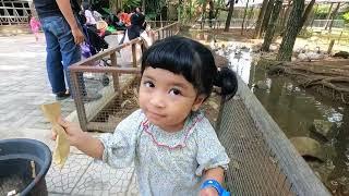 Kiya main ke Kuntum Farmfield sama ade