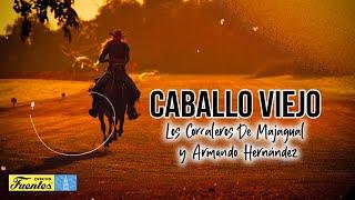 CABALLO VIEJO - Los Corraleros de Majagual y Armando Hernández (VIDEO LETRA)