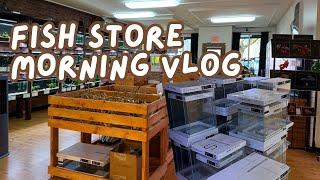 Opening my Fish Store | Morning Vlog