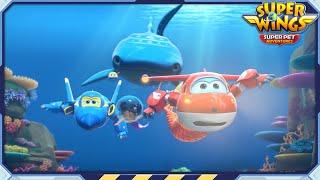 [SUPERWINGS7] The Wild Little Mermaid and more | Superwings Superpet Adventures | S7 EP31~33