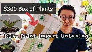 Plant Unboxing from Succulent Asia! Adding rare Sansevieria to my collection