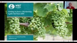 Variety in Focus: Chardonnay with Lydia Harrison MW