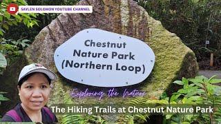 Chestnut Nature Park Northern Loop #nature #park #Singapore #saylensolomon #hiking #naturepark