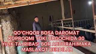 QOʻCHQOR BOQSA DAROMAT KOPMI YOKI URGICHIDAMI 941544307 ABDURQXIMAKADAN MASLAXATLAR