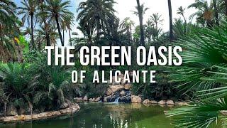  A HIDDEN GEM OF ALICANTE - El Palmeral Park