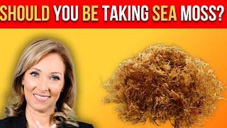 Should You Be Taking Sea Moss | Dr. Janine