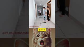 Cute cat bombastic #popular #trending #shortsvideo #subscribe