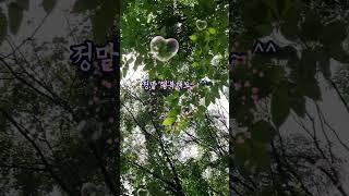 소중한 행복