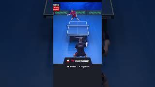 Adrian Majchrzak vs Maciej Brodzki #shorts  #tteurocup
