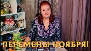 ПЕРЕМЕНЫ НОЯБРЯ ДЛЯ ВАС!